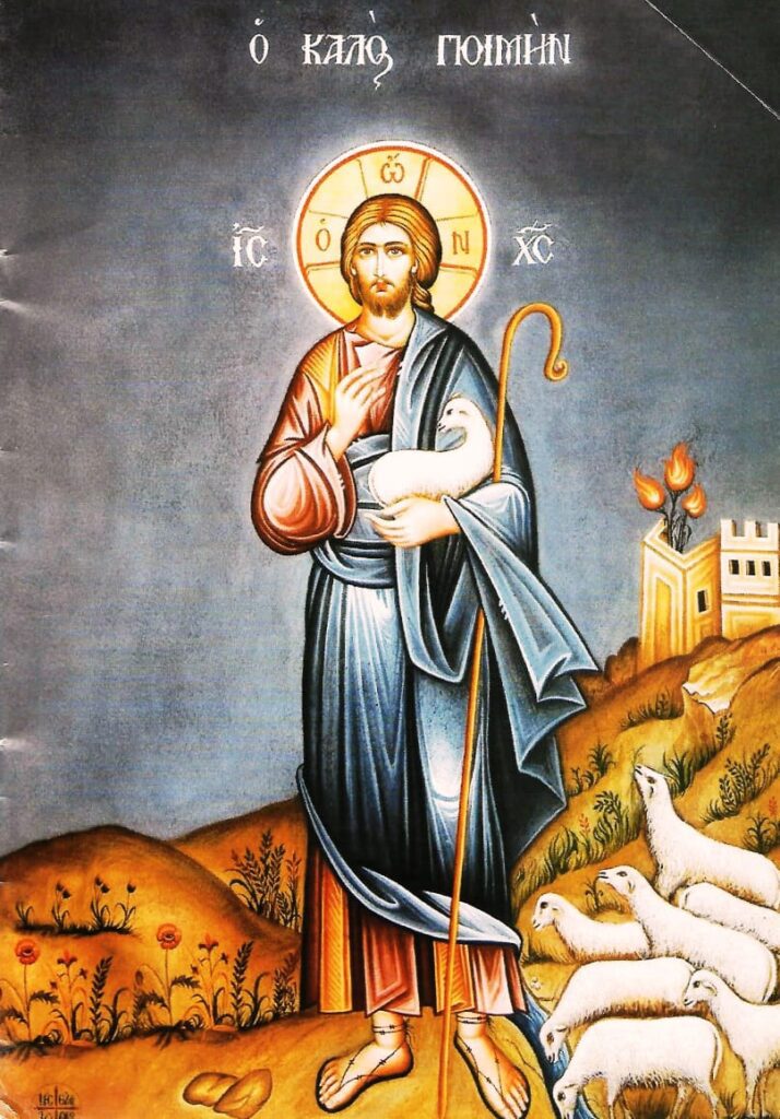 WhatsApp Image 2025-11-09 at 10.48.10 AM